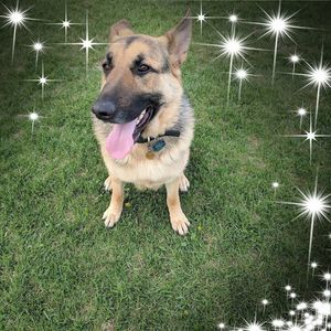 Meet your Posher, Ann